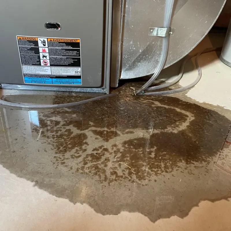 Appliance Leak Cleanup in Fowler, IN